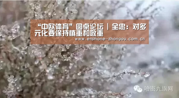“中欧体育”圆桌论坛 | 全忠：对多元化要保持慎重和敬重