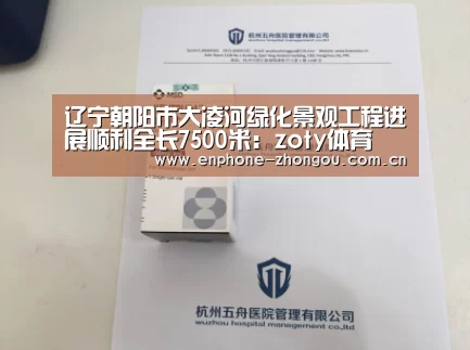 中欧体育官网